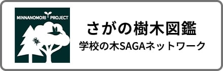 さがの樹木図鑑 学校の木SAGAネットワーク